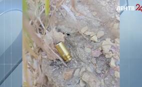 В Гатчинском округе задержали стрелка-вымогателя