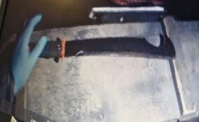 Во дворе дома во Фрунзенском районе задержали пьяного мужчину с мачете