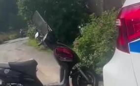 Женщину с поддельными правами остановили в Лодейнопольском районе