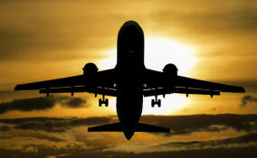 Пьяная жительница Ленобласти не смогла вернуться домой из Калининграда