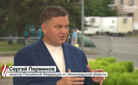 Сергей Перминов оценил программу развития библиотечного дела в Ленобласти