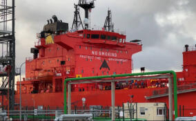 Александр Дрозденко: открытое горение на терминале в Усть-Луге ликвидировано