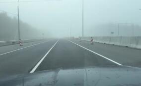В Ленобласти трасса «Скандинавия» погрузилась в густой туман