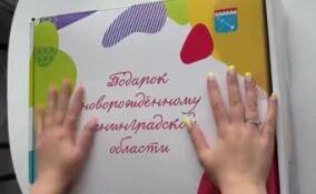 В Ленобласти родителям малышей дарят обновленные комплекты детских принадлежностей