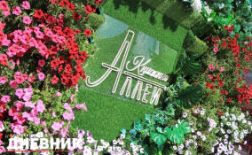 Медиадень на Книжных аллеях посетили 3,5 тысячи человек