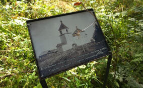 Сотрудники лесничества расчистили территорию у старой церкви в Каргиничах