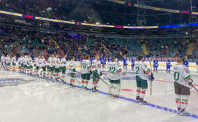 В Петербурге стартовал турнир по хоккею имени Николая Пучкова