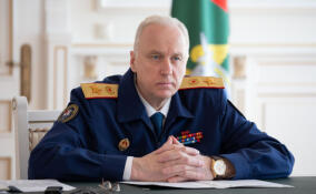 Глава СКР взял на контроль ситуацию с нарушением прав ребенка-инвалида в Приозерске