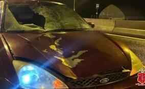 Иномарка насмерть сбила пешехода на трассе М-10