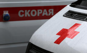 Подросток на байке врезался в дерево в Сосново