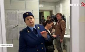 Прокуратура Ленобласти приехала с плановой проверкой в детский лагерь «Лесная сказка»