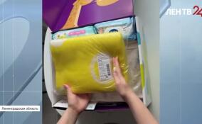 В Ленобласти будущие родители могут получить особый подарок
