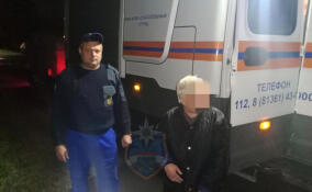 Женщина заплутала в лесу вблизи поселка Тайцы