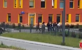 Полицейские задержали зачинщиков массовой драки с участием мигрантов в Янино