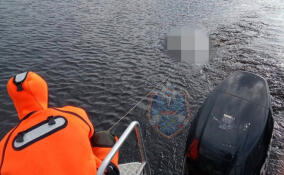 Спасатели извлекли из Вуоксы тело сорвавшегося с моста мужчины