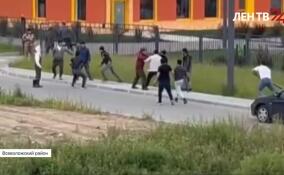 Три десятка мигрантов доставили в отделы полиции после массового побоища в Янино-1