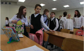 С нового учебного года в Ленобласти начнут работу пять новых школ