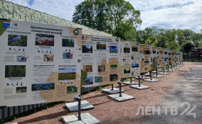 Выставку о заказниках Ленобласти открыли в Ленинградском зоопарке