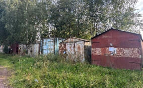 В Выборге демонтируют незаконные гаражи в Волейбольном проезде