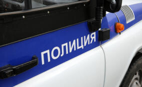 Уличные грабители в Лодейном Поле напали на постояльца отеля