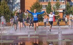 От небесных высот до беговых трасс: о спортивных выходных в Ленобласти