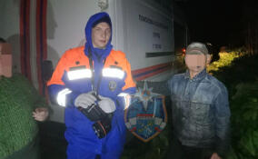 Спасатели вывели из леса у Чудского Бора заблудившегося мужчину