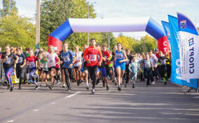 Стартовала регистрация на «Кросс Нации-2025»