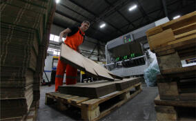 Бережливые технологии на 16,5% повысили производительность на заводе «Ладога»