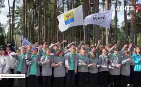 В деревне Кошкино прошел фестиваль трудовых отрядов