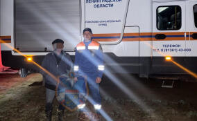 Спасатели и волонтеры искали заплутавшего мужчину в лесу у Старой Малуксы