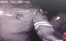 Юного лихача на «Жигулях» со стрельбой задержали в Ленобласти