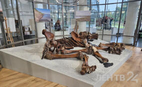 Мамонта Тадибе покажут в Ленобласти