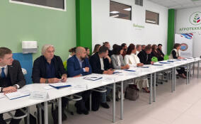 Качество образования и поддержку молодых специалистов обсудили на круглом столе Общественной палаты Ленобласти