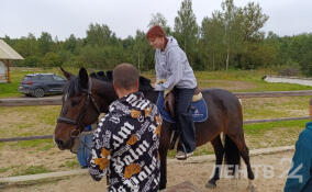 Иппотерапия и хоббихорсинг доступны семьям ветеранов СВО в Ленобласти