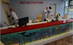 До конца года все медучреждения Ленобласти перейдут на работу в ЕМИС