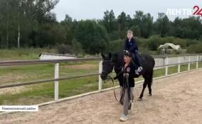 Лошади помогают семьям ветеранов СВО