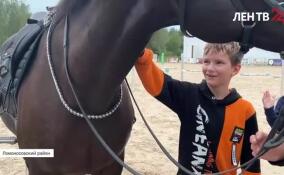 Семьи ветеранов СВО посетили конный клуб в Ломоносовском районе