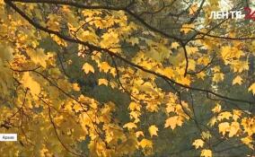 Синоптики дают благоприятный прогноз на первую половину осени