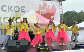 В парке «Оккервиль» проходит концерт, посвященный Дню Заневского поселения