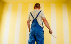 В Гатчине при ремонте квартиры обнаружили тайник с советскими гранатами