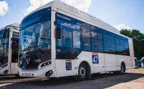 С 1 сентября в Ленобласти запустят три новых автобусных маршрута