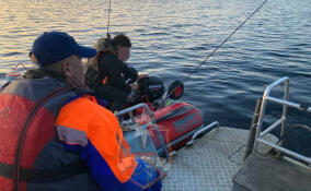 За неделю спасатели 55 раз выезжали на помощь жителям Ленобласти