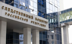 Бастрыкин потребовал доклад по делу о нарушении жилищных прав сироты из Ленобласти