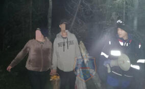 Мужчина и женщина заблудились в лесу в Волховском районе