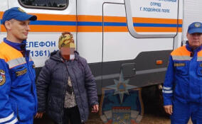 Спасатели помогли выбраться из леса у Усланки заблудившейся женщине