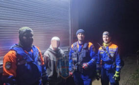 Женщина потерялась в лесу у деревни Георгиевское