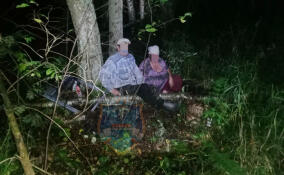 Пара заплутала в лесу у садоводства в Кировском районе