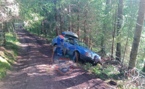 Иномарка оказалась в кювете на лесной дороге у деревни Васильево