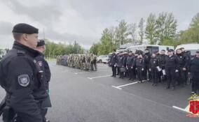 Полицейские обследовали более 200 адресов во время рейда в Волховском районе