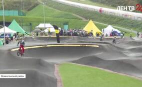 День и ночь спорта: в Ленобласти проводили лето